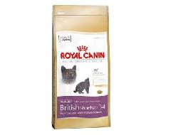    Royal canin   British Shorthair 10 kg