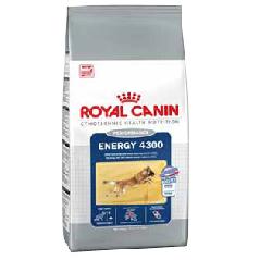    Royal canin Energy 4300 (  )