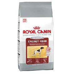    Royal canin Energy 4800